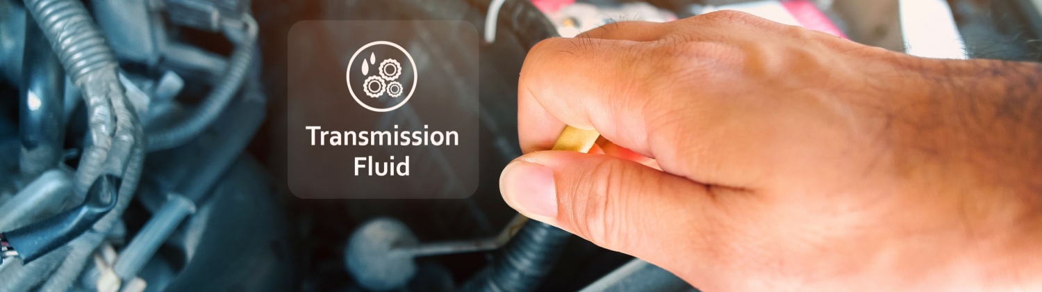 Transmission Fluid Change Near Me In Kingston, ON